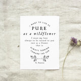 St. Faustina Divine Mercy Print "Wildflower" quote Catholic Saint Quote, Confirmation Gift, Catholic Print, Wall Art, Saint Print, Catholic